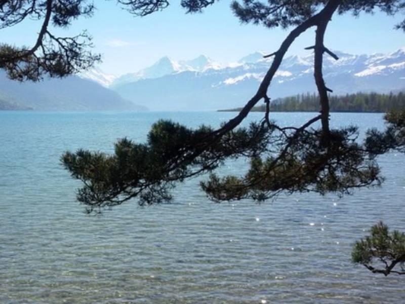 PA_20210317_Thunersee1