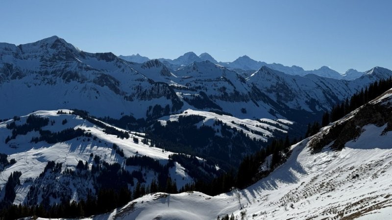 IMG_9307