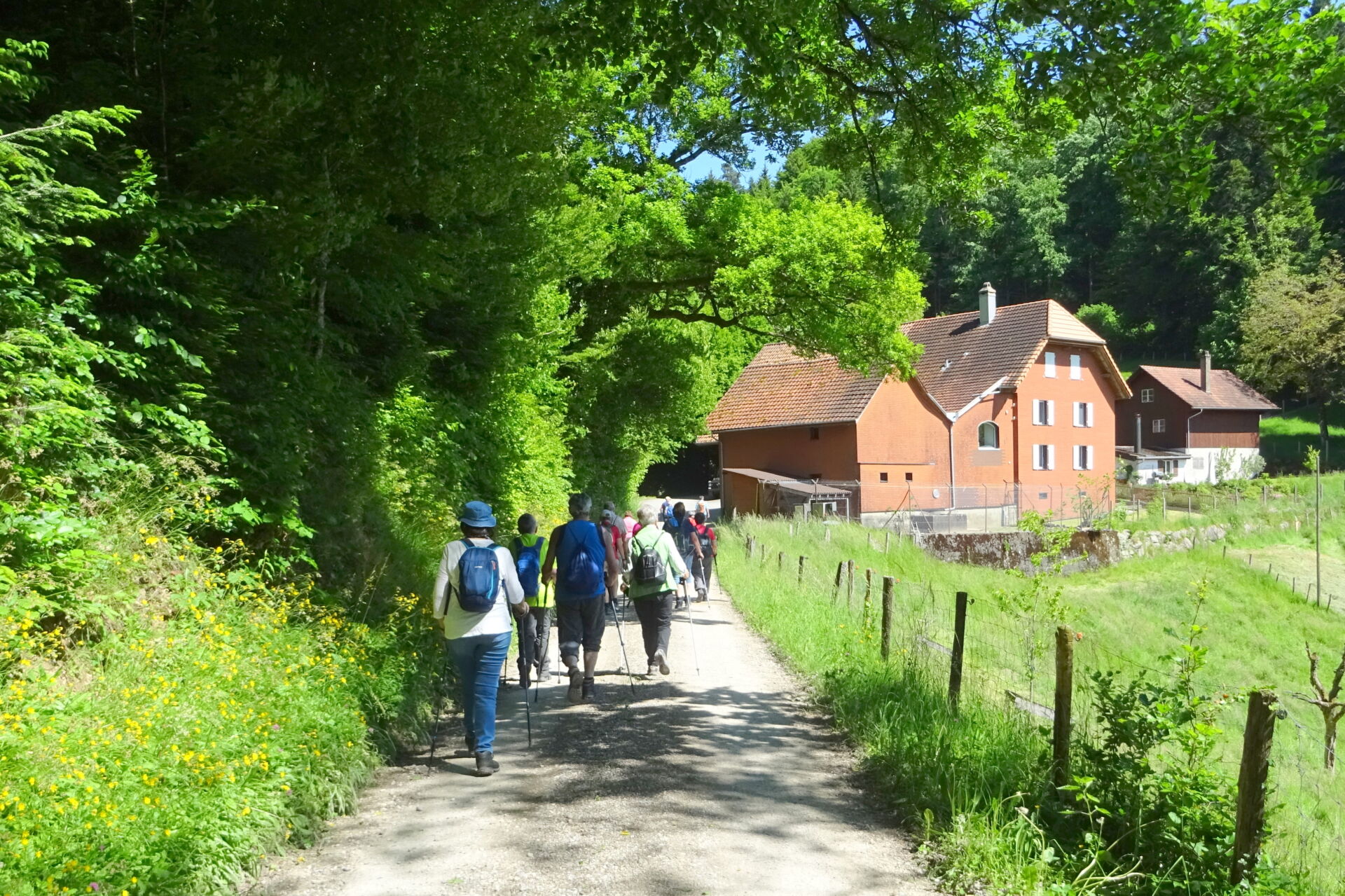 Sattelhof