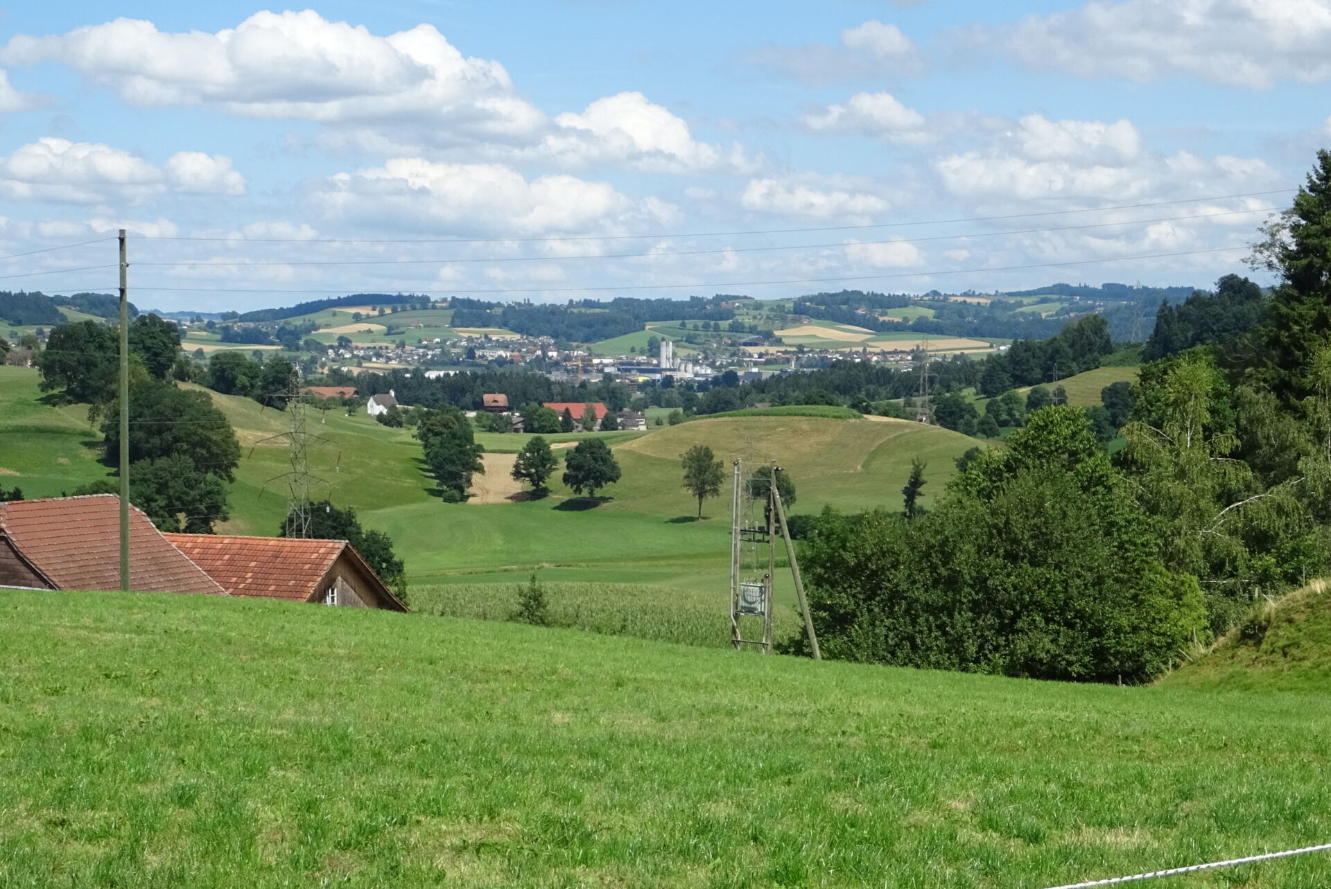 DSC06190