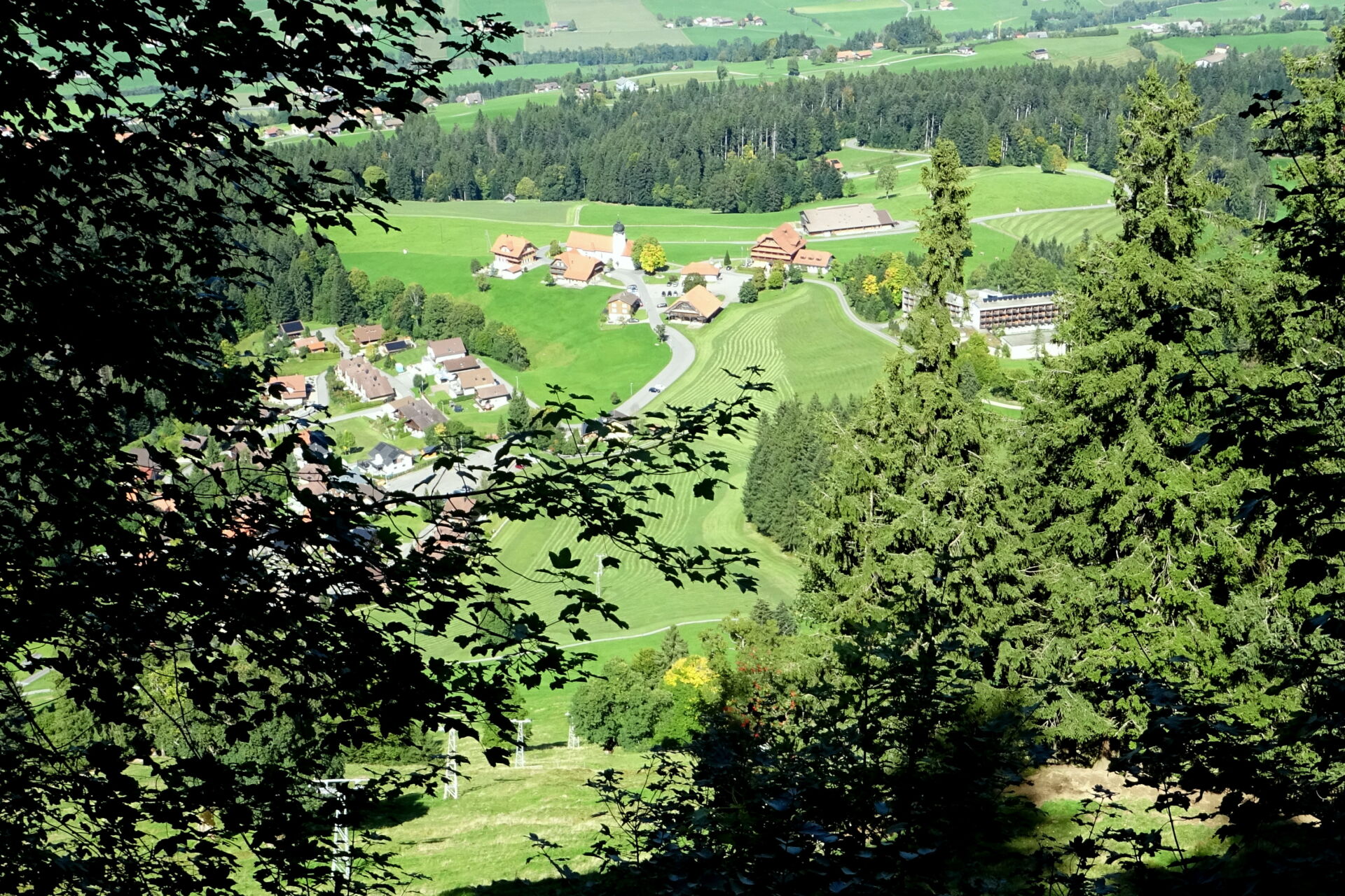 DSC06359