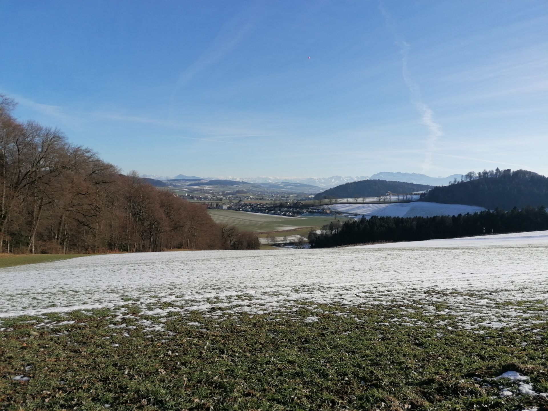 über den Buttenberg richtung Alberswil