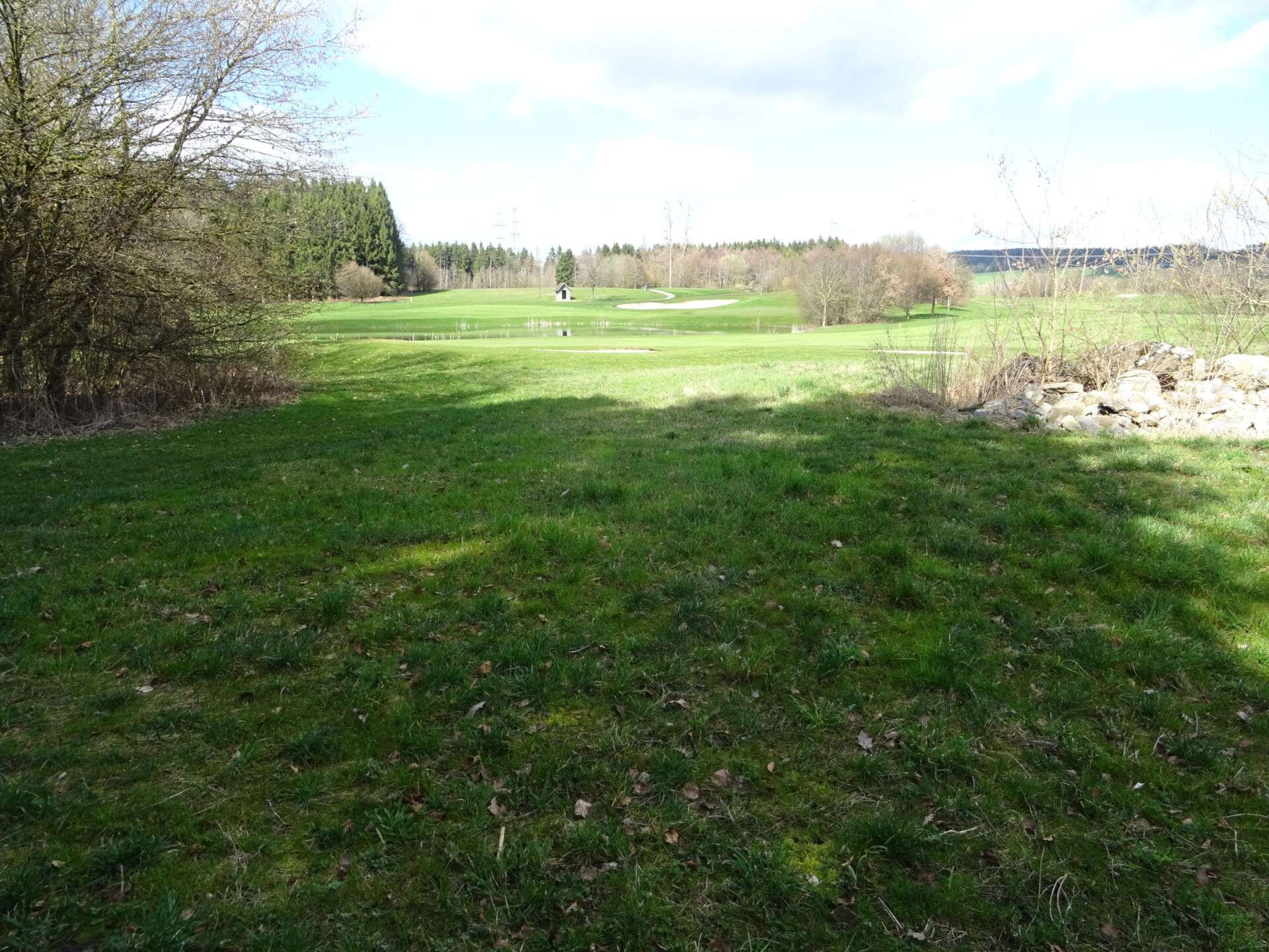 DSC06517