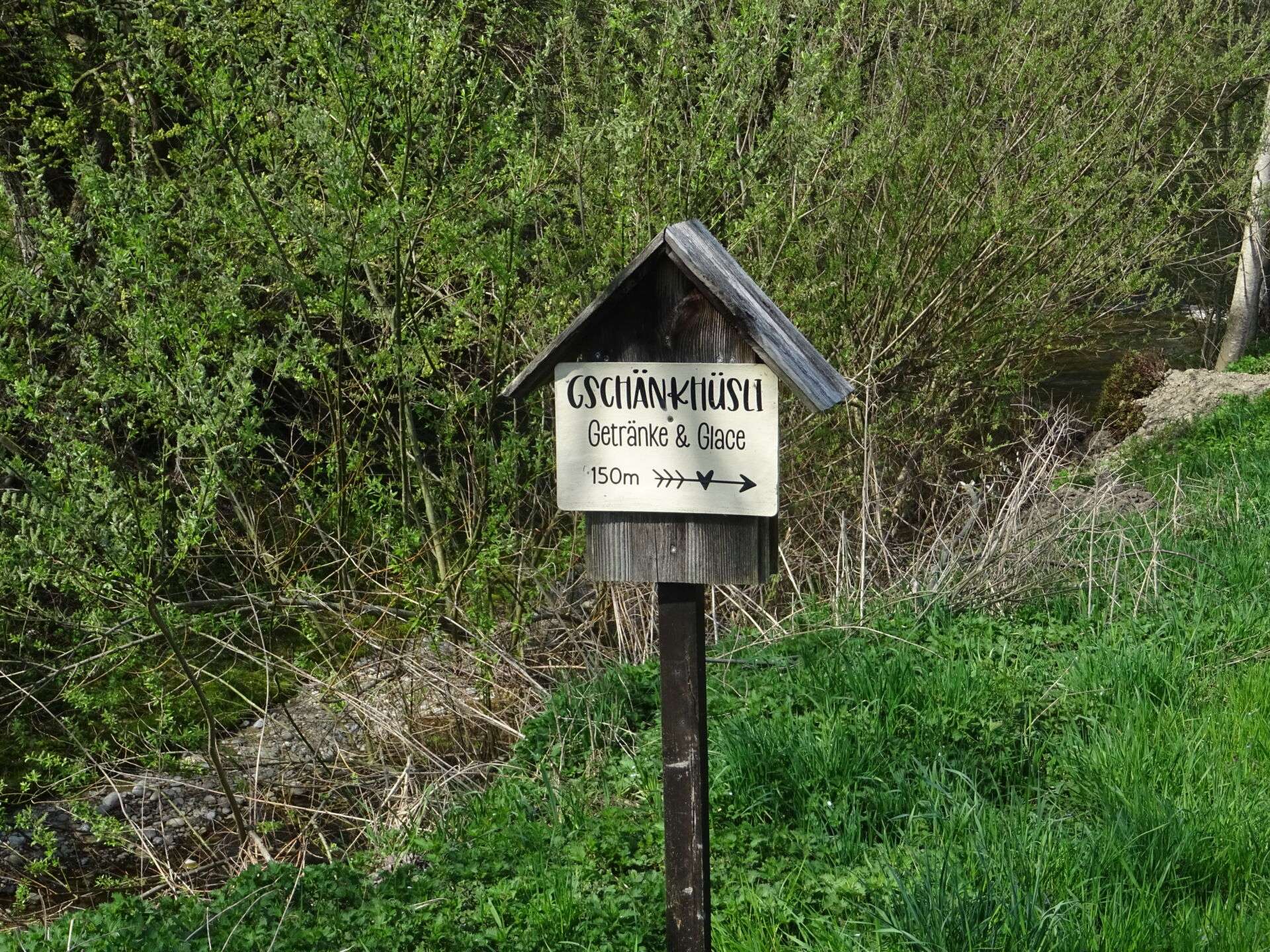 DSC06585