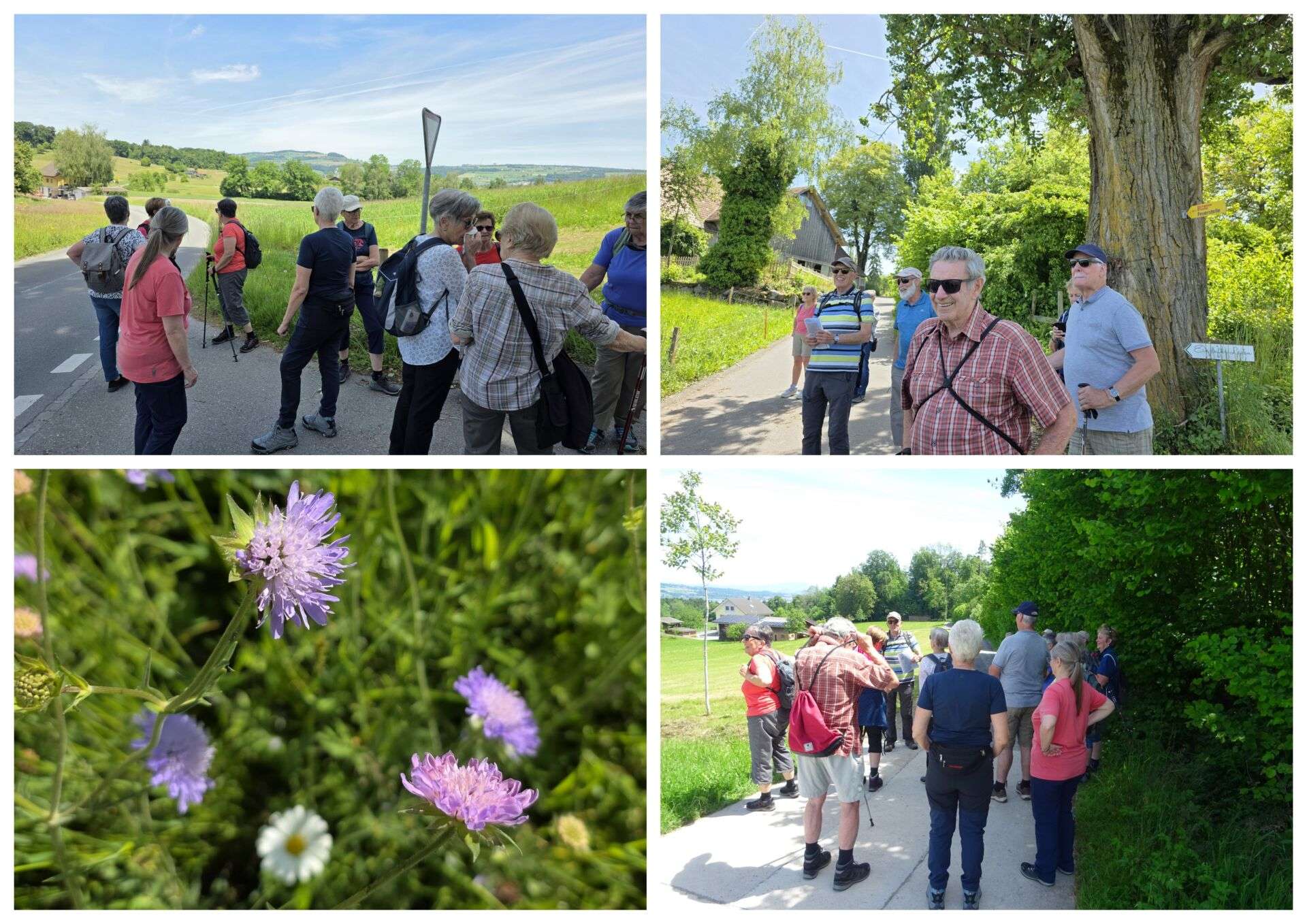 5 Mai – Wanderung-001