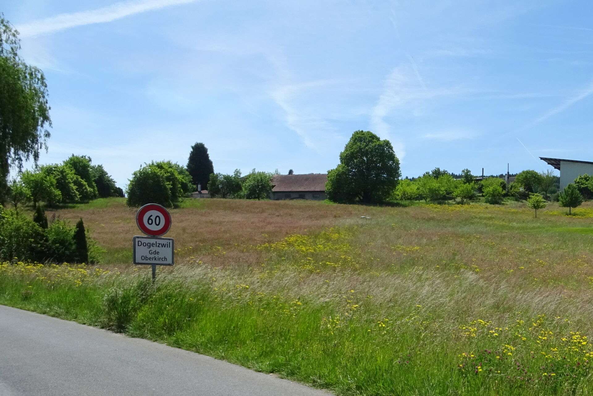 DSC06611