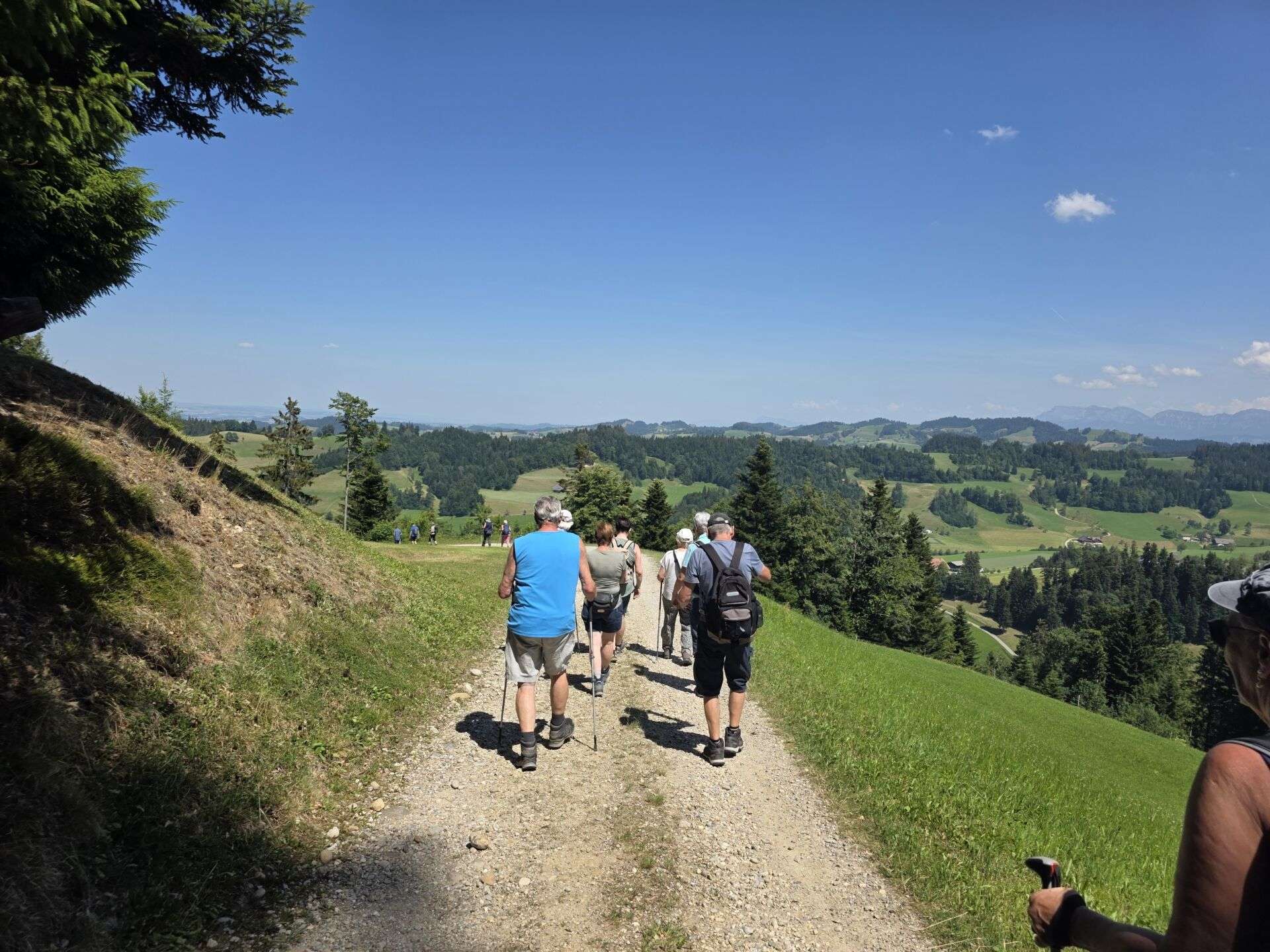 zur palmegg