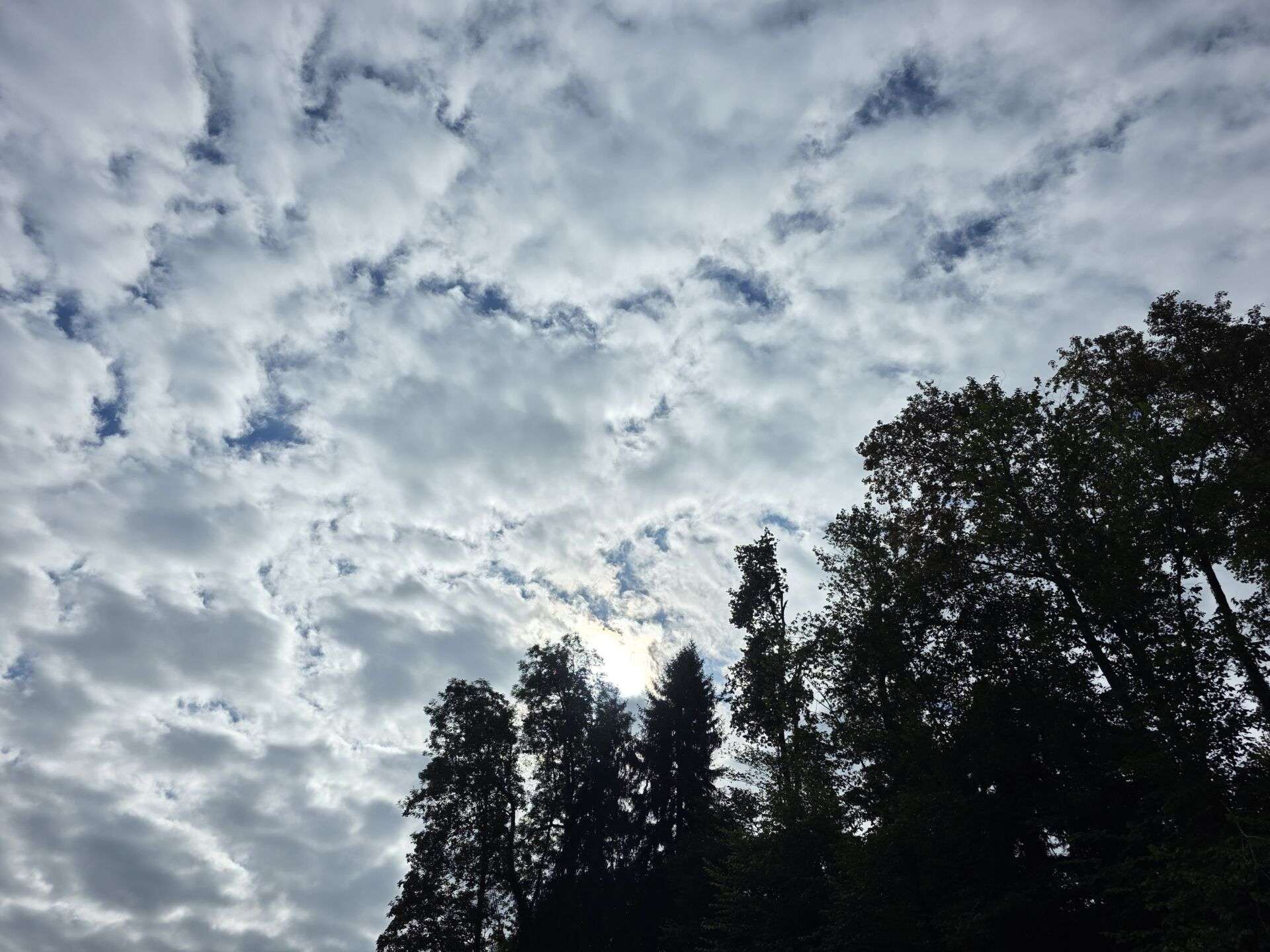 20260917_103735